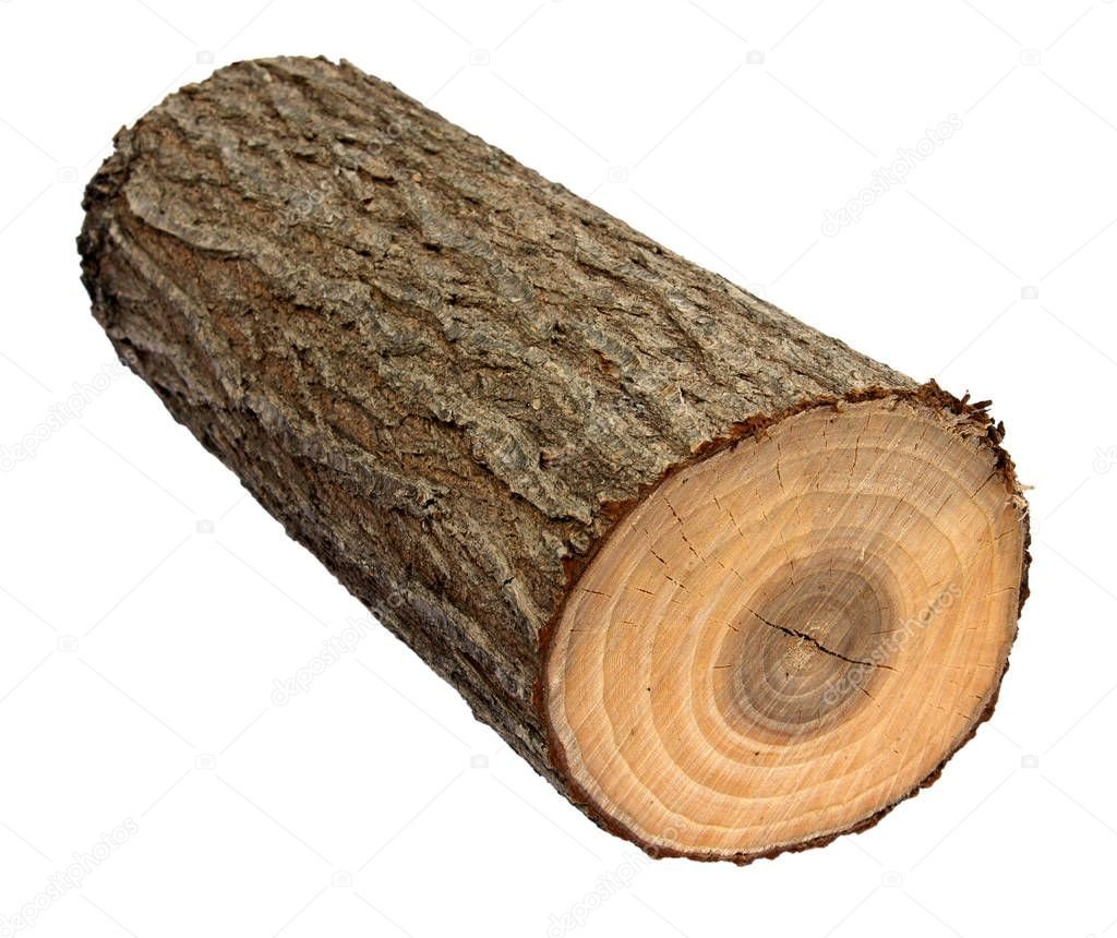 Log?
