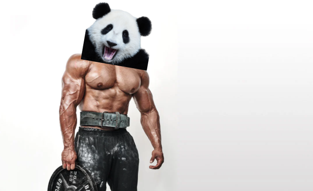 larry the panda!!!